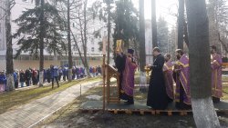 Подробнее...