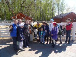 Подробнее...